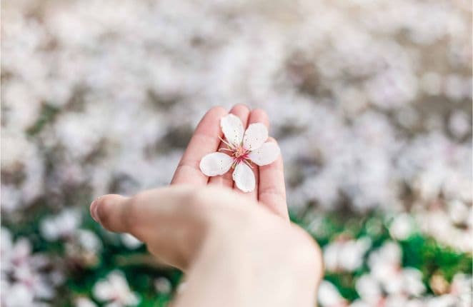 Self-compassion