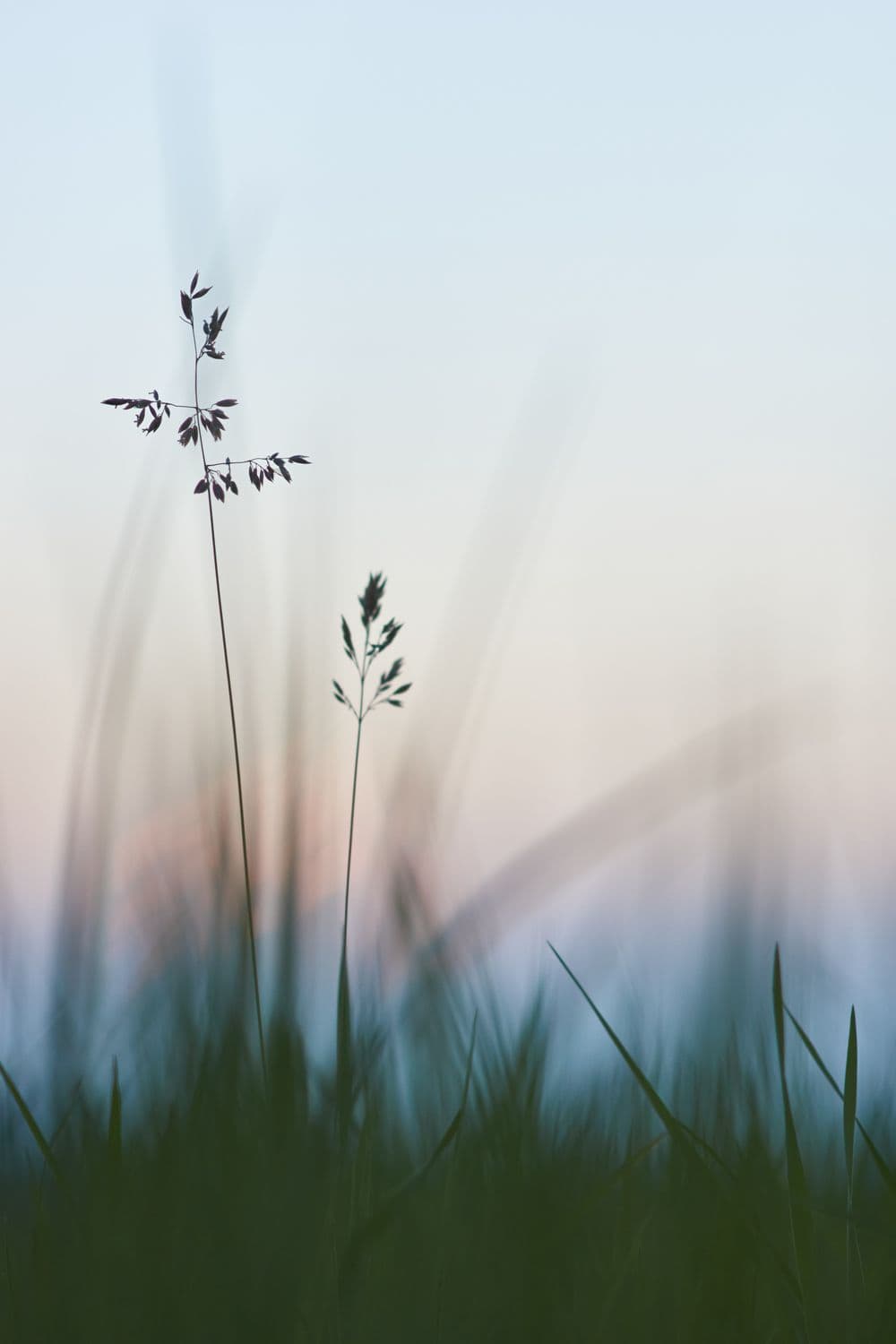 The Magic of Neutral Moments Meditation by Cory Muscara