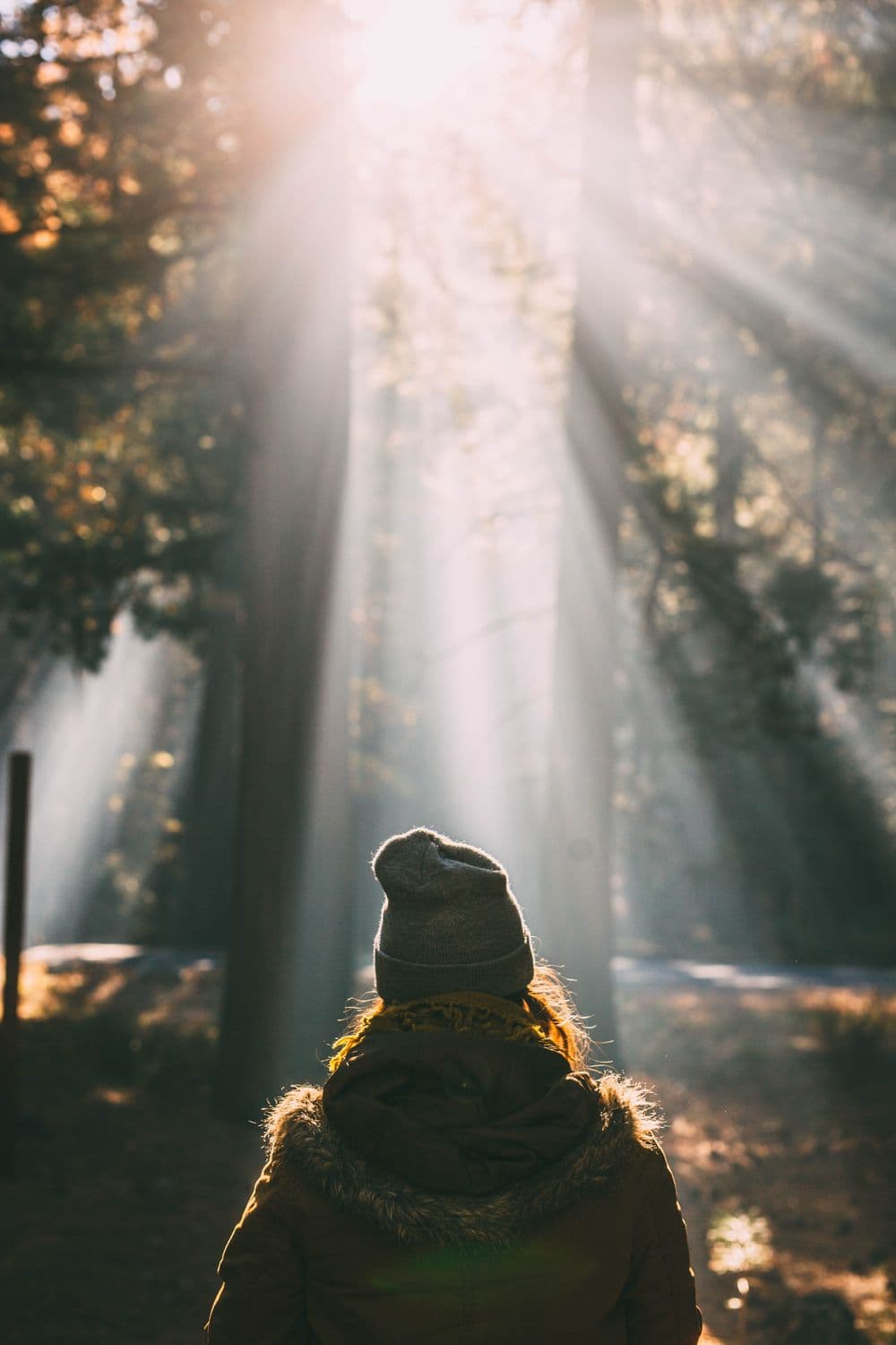 Why We Self-Sabotage Meditation by Cory Muscara