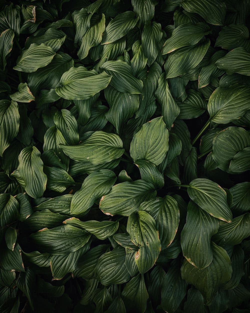 Mindful Walking: Stay Grounded by Walking Mindfully | Mindfulness.com